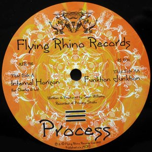 Internal Horizon / Funktion Junktion