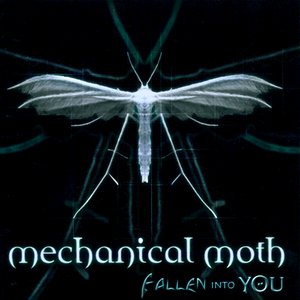 Fallen into you