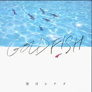 Goldfish
