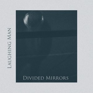 Divided Mirrors