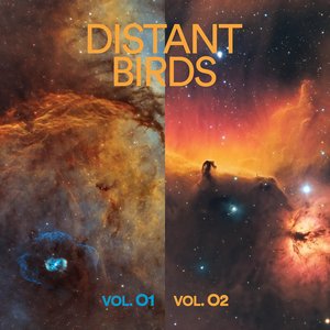 Avatar for Distant Birds