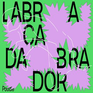 Labracadabrador