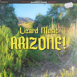 ARIZONE!