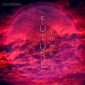 Future Junk
