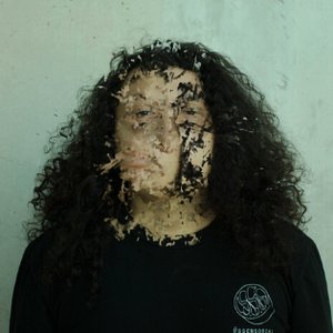 Avatar for Niño Árbol