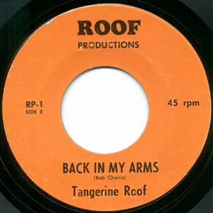 Avatar for Tangerine Roof