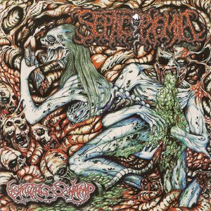 Vomiting Swamp