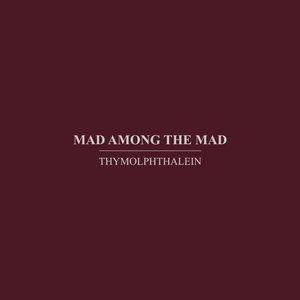 Mad Among The Mad