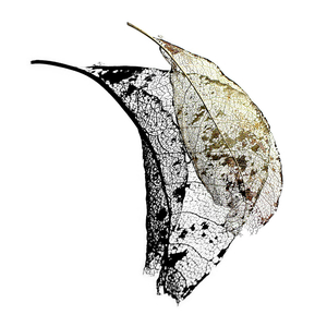Artwork for Reflect
