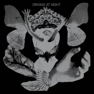 Avatar di driving at night