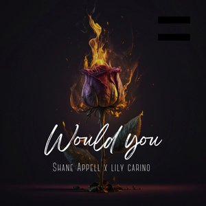 Would You
