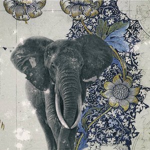 Spiritual Safari