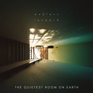 The Quietest Room on Earth