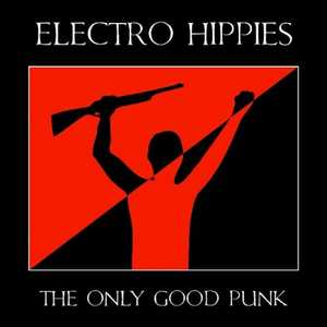 The Only Good Punk by Electro Hippies
