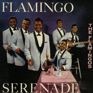 Flamingo Serenade by The Flamingos