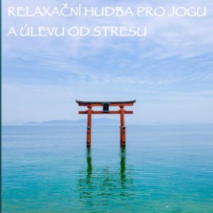 Avatar for Relaxační Hudební Zóna