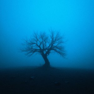 alone