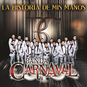 Artwork for LA HISTORIA DE MIS MANOS