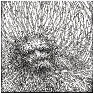 Nemorous