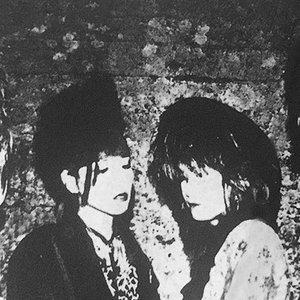 Аватар для Raytion