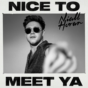 Nice to Meet Ya album cover