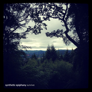 Synthetic Epiphany