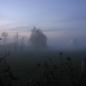 Frozen Silence
