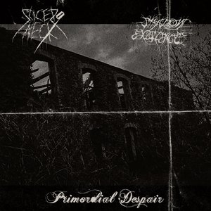 Primordial Despair