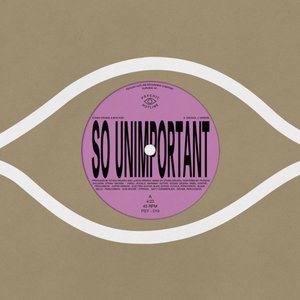 So Unimportant