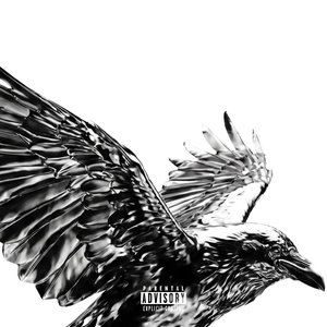 CROWS