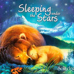 Sleeping Under The Stars by Dan Gibson's Solitudes