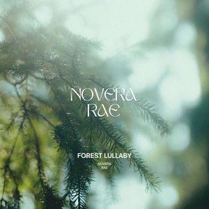 Forest Lullaby