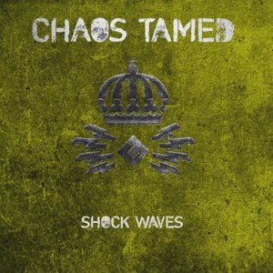 Shock Waves