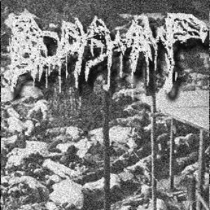 Avatar for Body Swamp