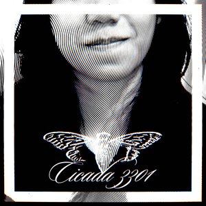 Cicada 3301