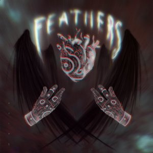 Feathers