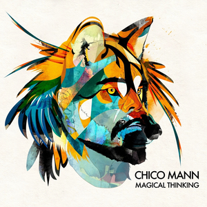 Magical Thinking album cover