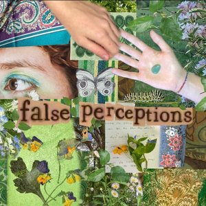 false perceptions