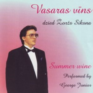 Vasaras vīns