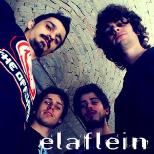 Avatar for elaflEin