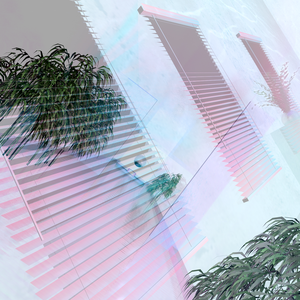 Diver by Vanguard