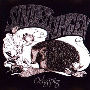 Odgipig