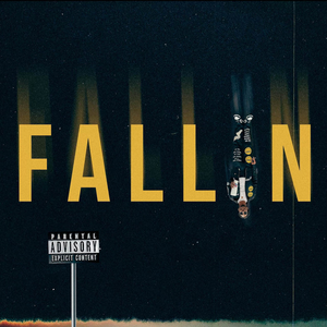 Loe Shimmy - Fallin - Single - Zortam Music
