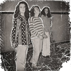 Avatar for Psicodencia