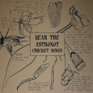 Cricket Songs