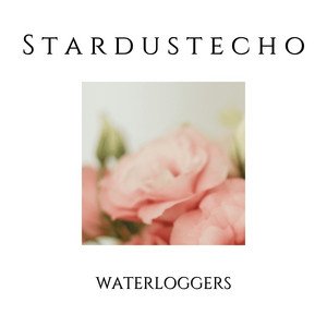 Stardustecho