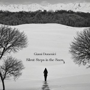Silent Steps in the Snow