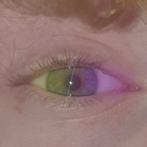Avatar for CamGold