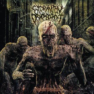 Butcher Basement