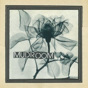 Mudroom